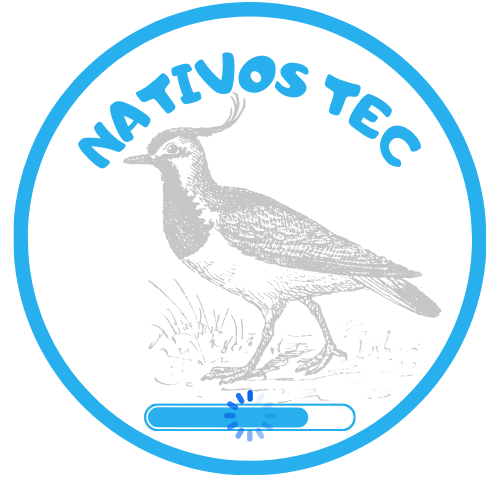 Nativos Tec
